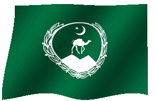 balochi flag